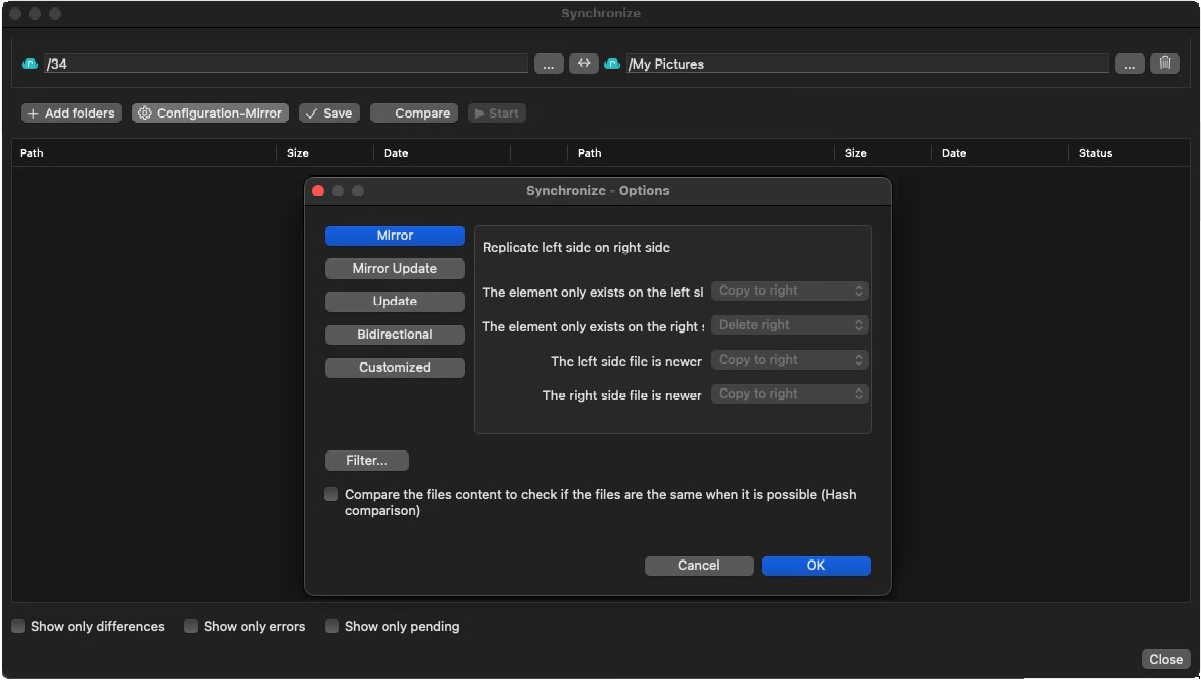 Air Explorer Pro macOS 同步選項